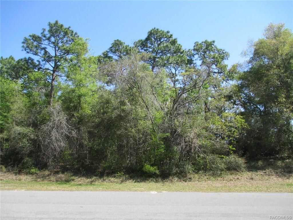 271 W Gulf to Lake High, Lecanto, FL 34461